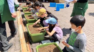 図書館の本で調べてみどりのカーテンを育てよう