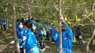 西中学校１年生枝打ち体験