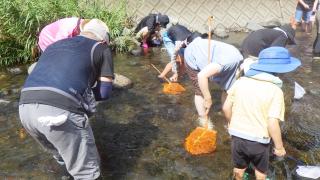 水生生物観察会「水辺の教室」