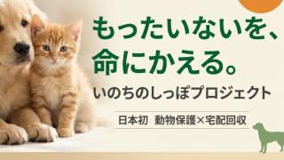 不用品リユース促進と動物保護団体への寄付支援活動