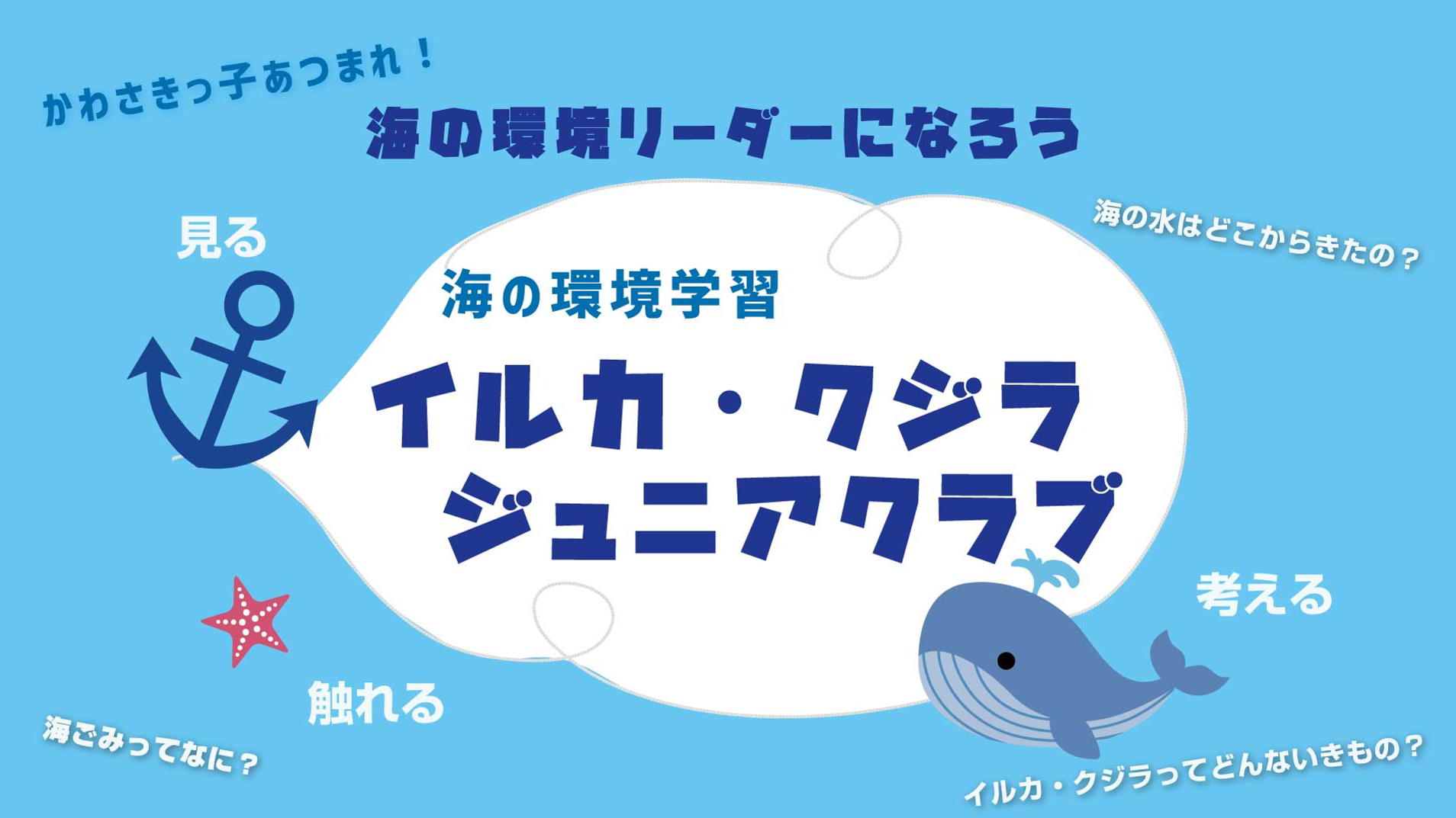 イルカ・クジラ ジュニアクラブ(通年講座)