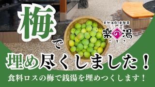 食料ロスの梅で銭湯を埋め尽くします!