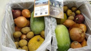 小牧市の農業法人Continues Happilyより取り寄せた新鮮な野菜