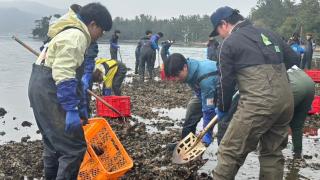 みんなでカキ殻拾うDAY