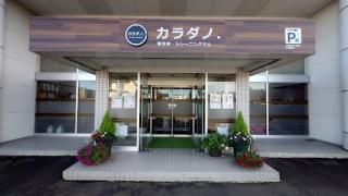 カラダノ.の活動
