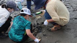 干潟の生きもの観察会！