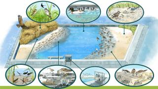 まちのこれからに「ちょっと関わる」視察ツアー～渡り鳥と干潟から考える地域の未来～