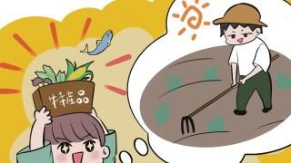 京丹波町観光農園＋