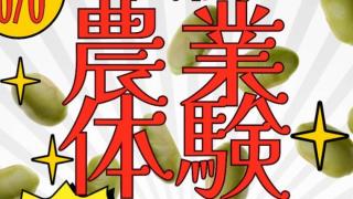 フードバレー京丹波農場　農業体験