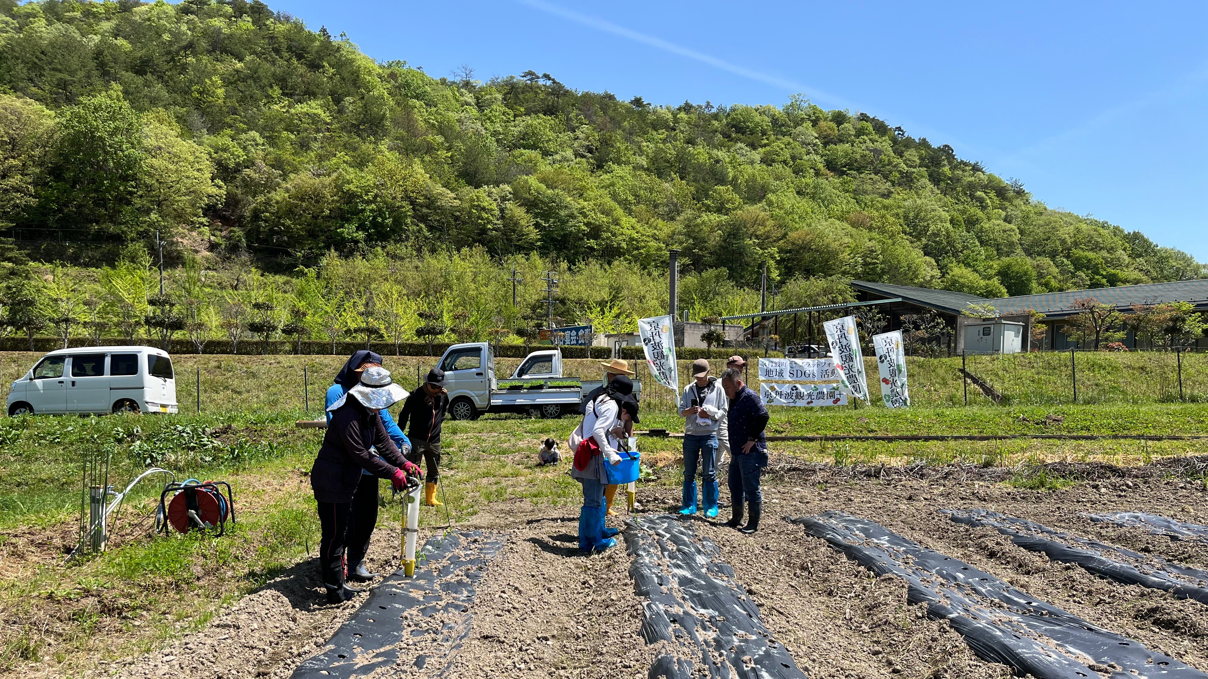 スーパースイートコーン苗の植付け体験