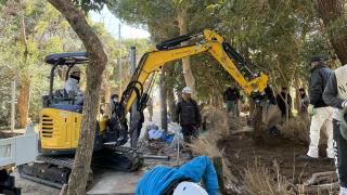 うみがめの森再生プロジェクト