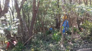 日和佐中学校の生徒が職場体験に来ました